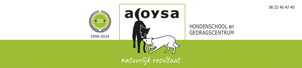 aloysa
